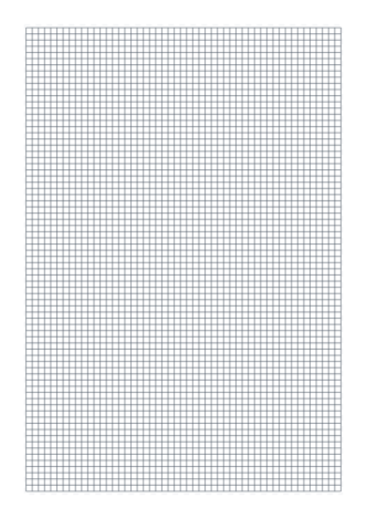 5mm Grid A3